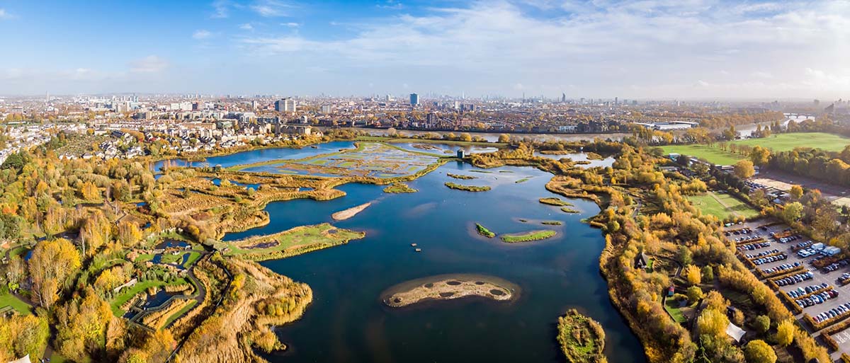 Aerial panorama of London wetland in the autumn, with city skyline in the distance.