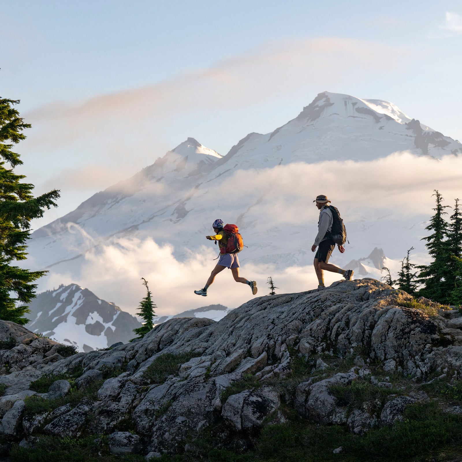 Merino Lightweight Prints