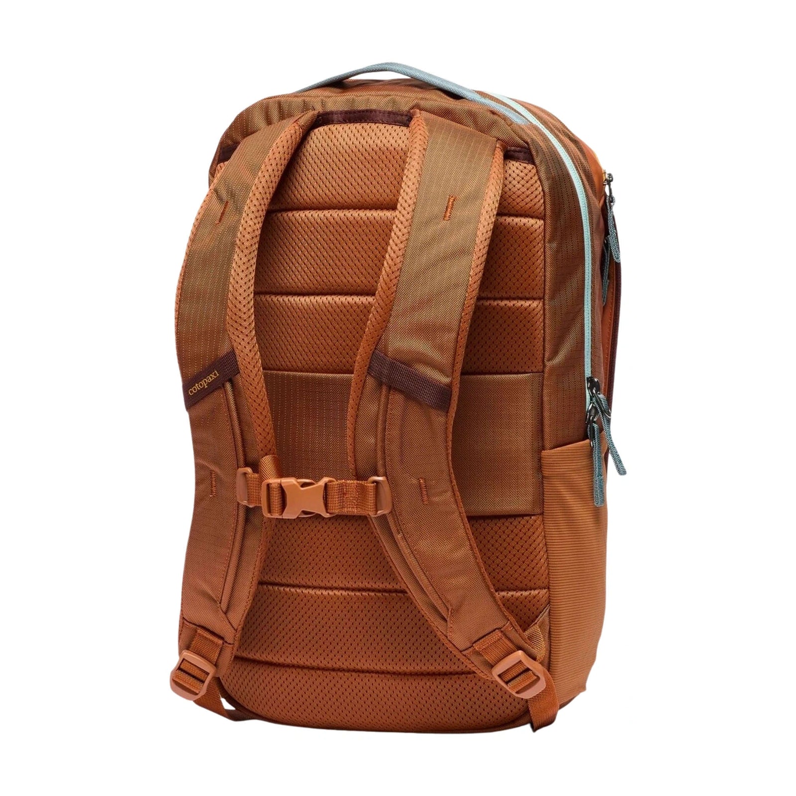 Allpa Daypack | 18L Cotopaxi A18-S26-WSKY Backpacks 18L / Whiskey