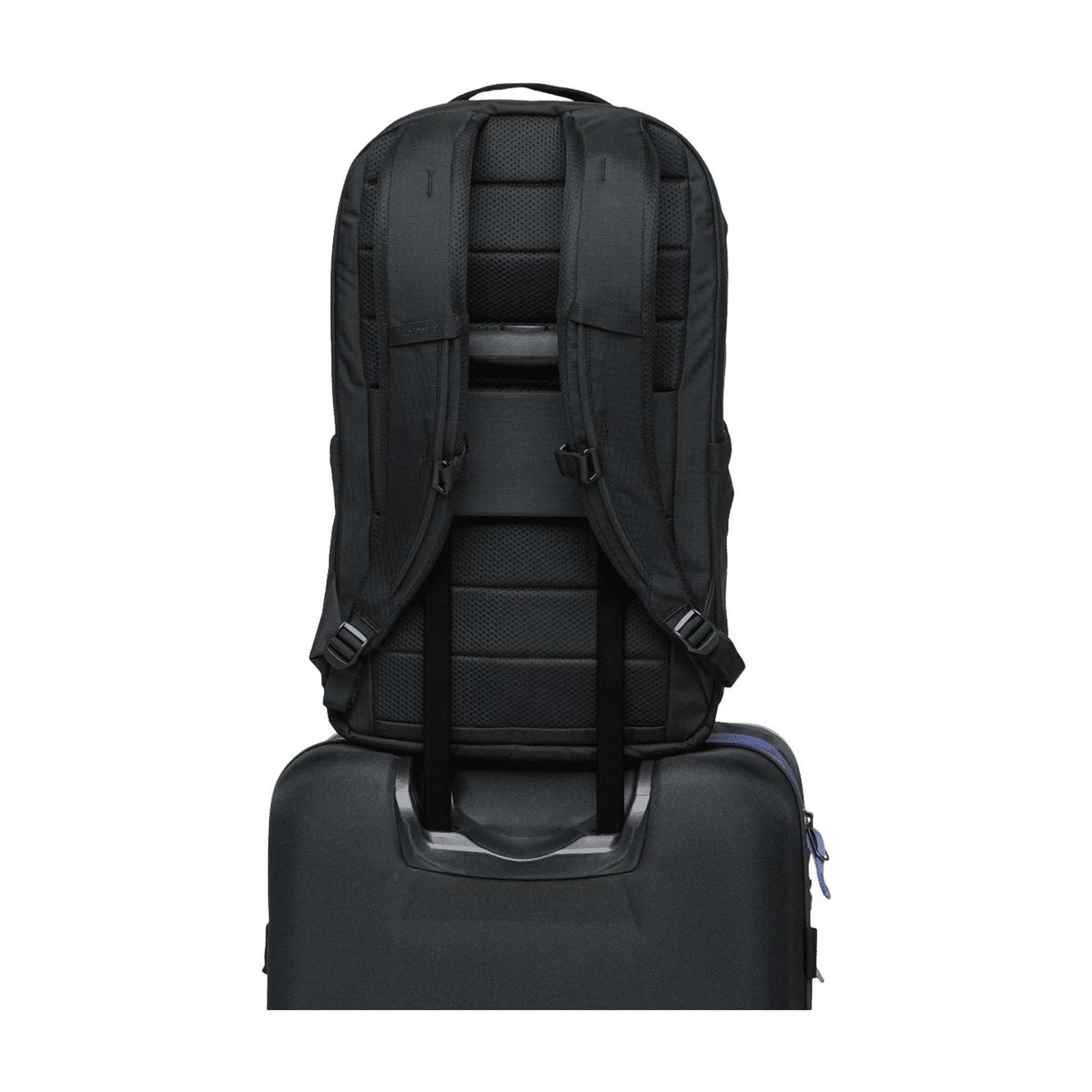 Allpa Daypack | 26L Cotopaxi A26-F25-CPBLK Backpacks 26L / Cotopaxi Black