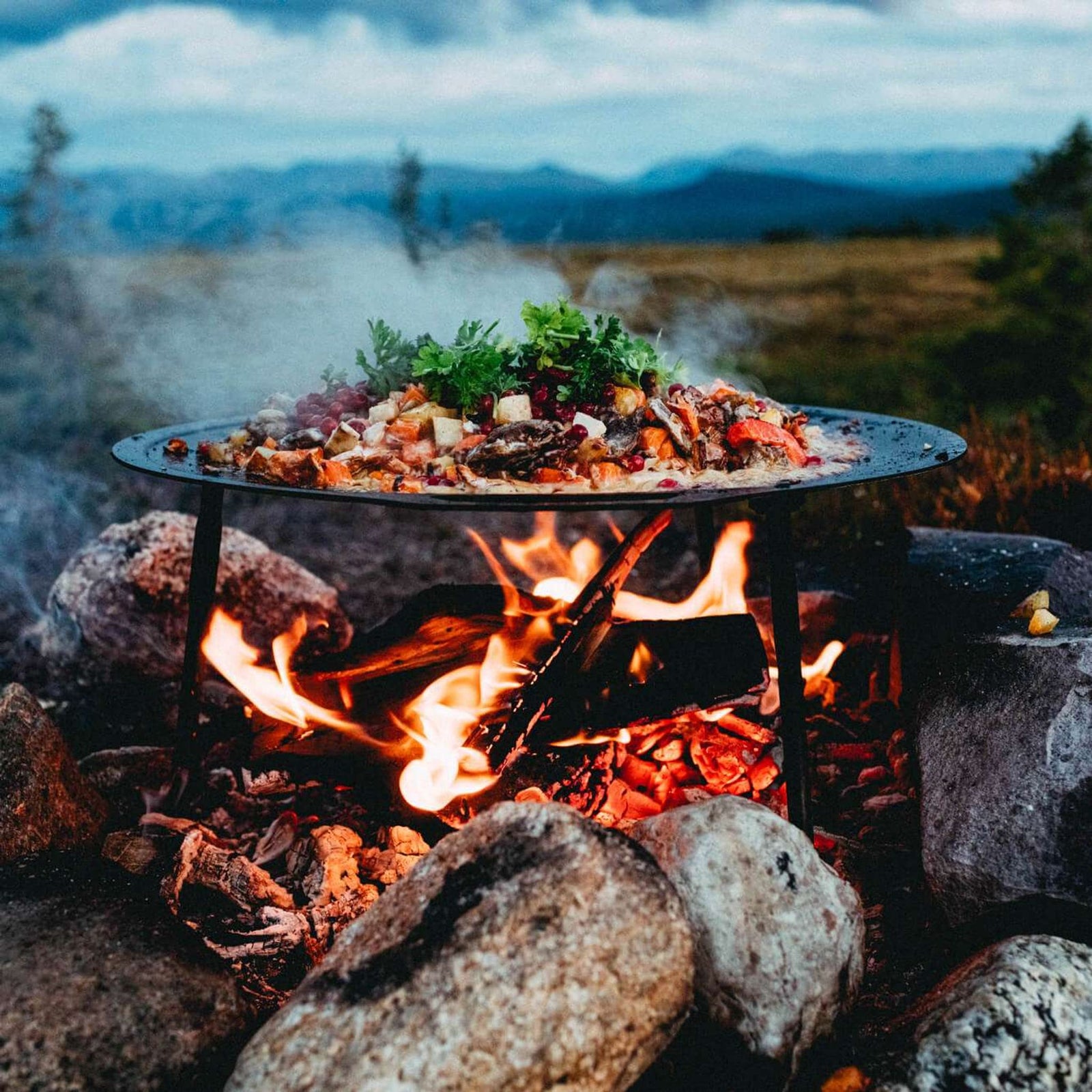 Jälda Griddle w/ Carry Kit Dalum Grills