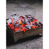 Fire Safe Wolf and Grizzly 627843867593 Firepits One Size / Stainless Steel