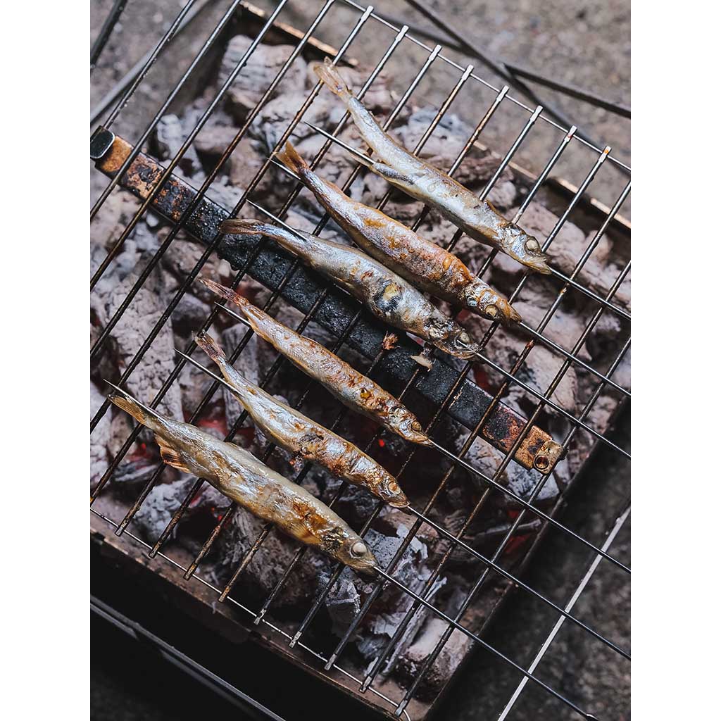Grill Wolf and Grizzly 627843867586 BBQs One Size / Stainless Steel