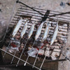 Grill with Fire Set Wolf and Grizzly 627843867562 BBQs One Size / Stainless Steel