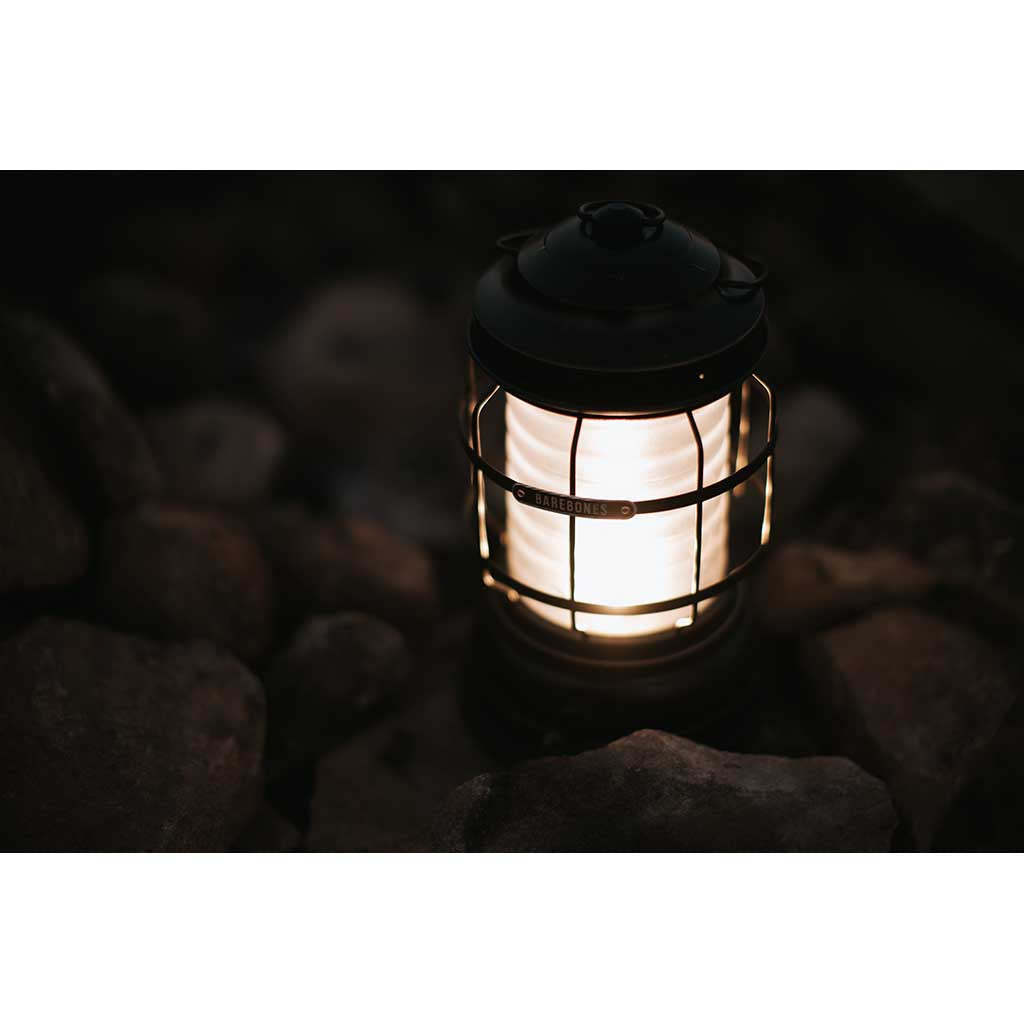 Forest Lantern Barebones Living LIV-261 Lanterns One Size / Antique Bronze