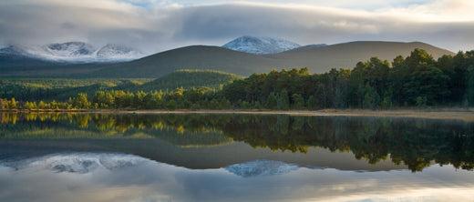 Field Guide: Cairngorms, Scotland | Field Guides | WildBounds UK