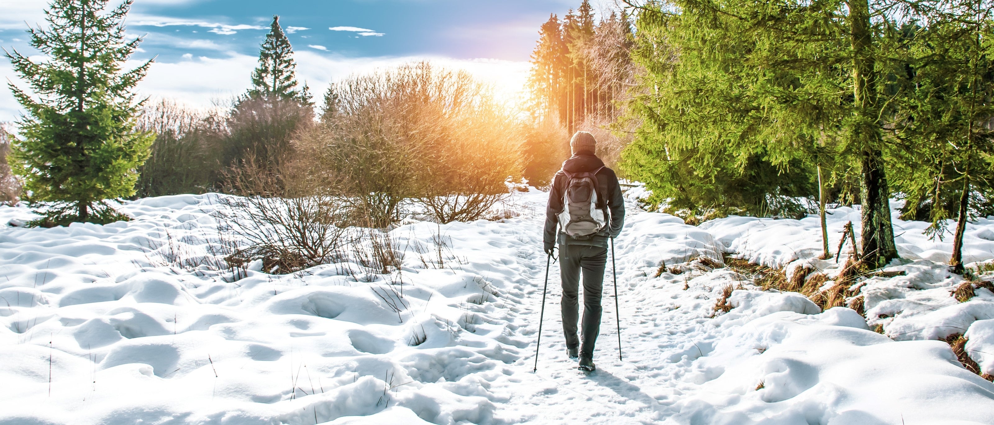 10 Reasons to Head Out on a Winter Walk