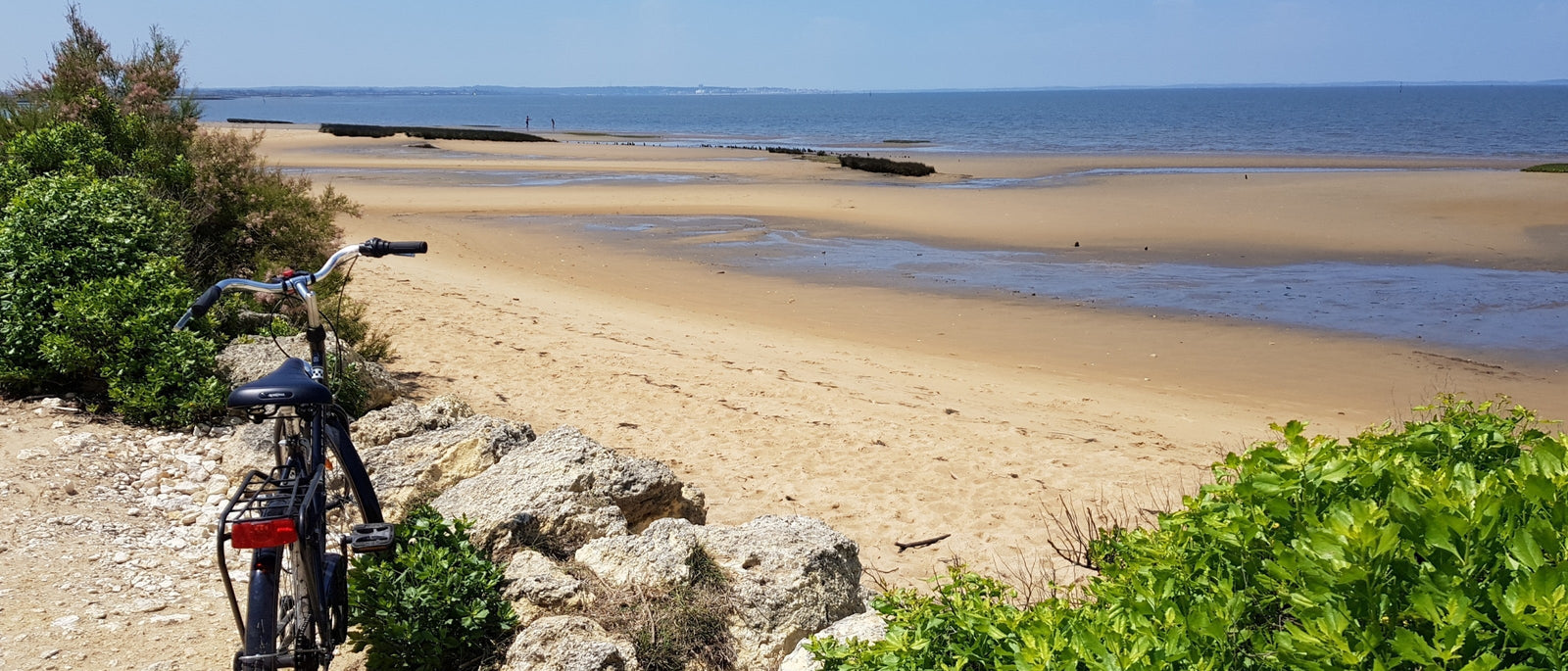 Touring bicycle parked on rocky outcrop overlooking golden sandy beach at low tide with calm blue waters of the Bassin d'Arcachon stretching to the horizon, green vegetation in foreground