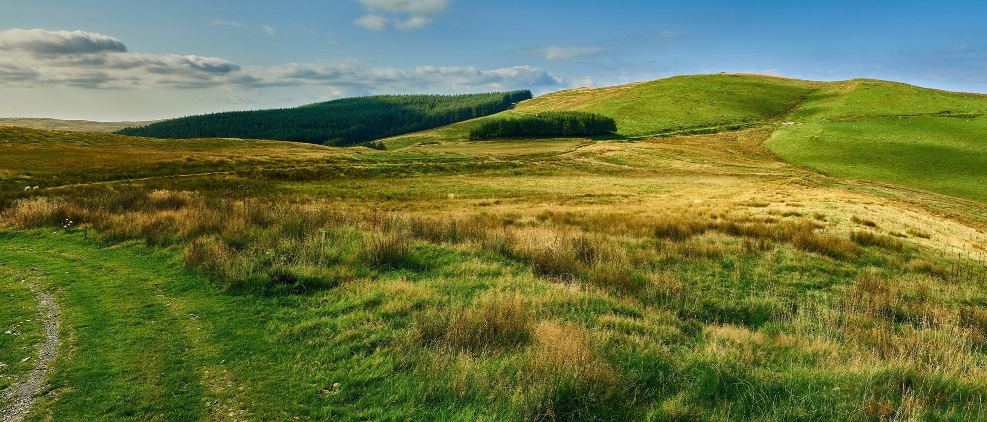An old mining road at Glaspwll near Machynlleth, in the heart of the Cambrian Mountains. (Courtesy Adobe Stock)