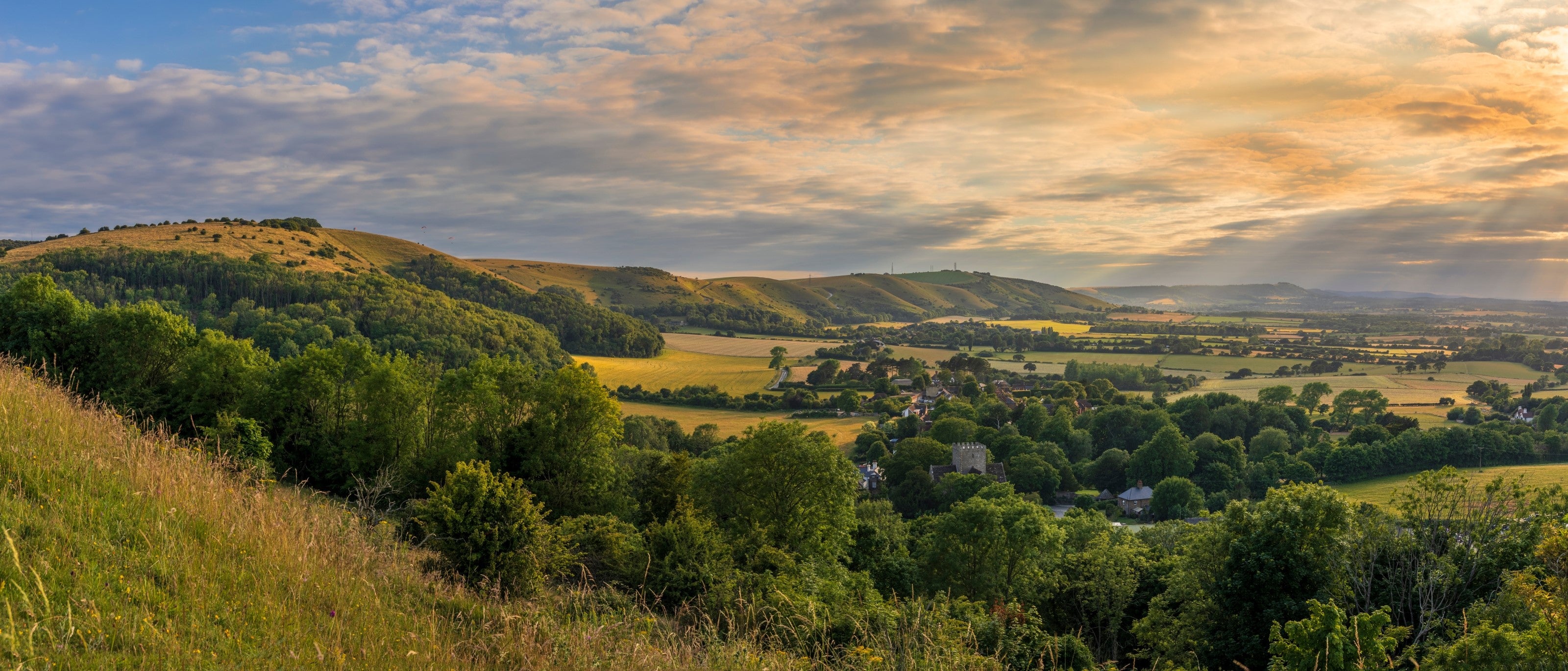 South Downs Field Guide | WildBounds UK