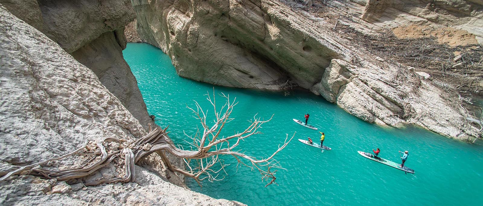 Canyon Echoes and River Travel: Wild Food in Catalonia