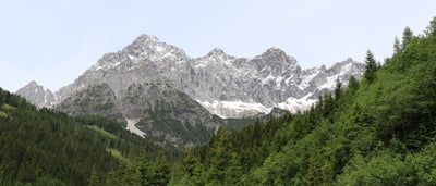 Field Guide: Filzmoos & Dachstein Mountains, Austria