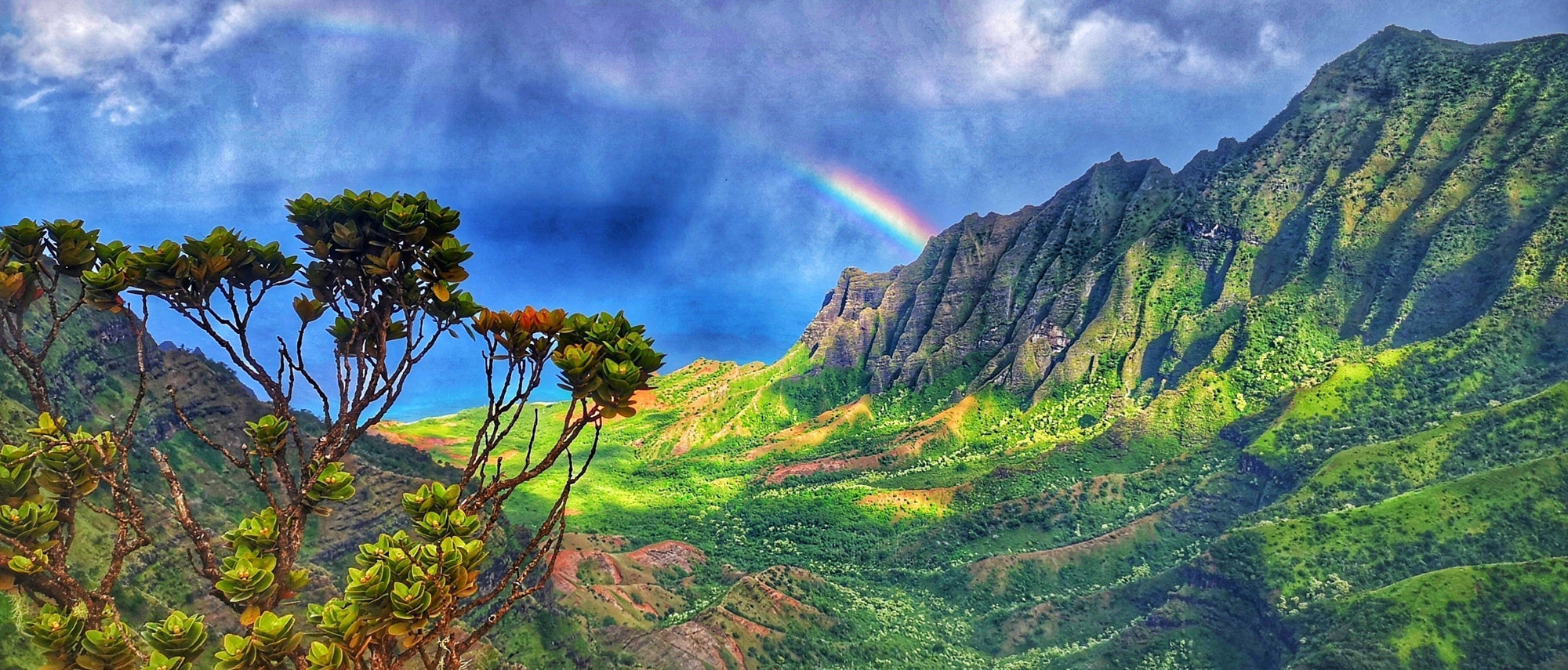 Panoramic vistas and a beautiful rainbow from the Kalalau lookout, Kauai.    
