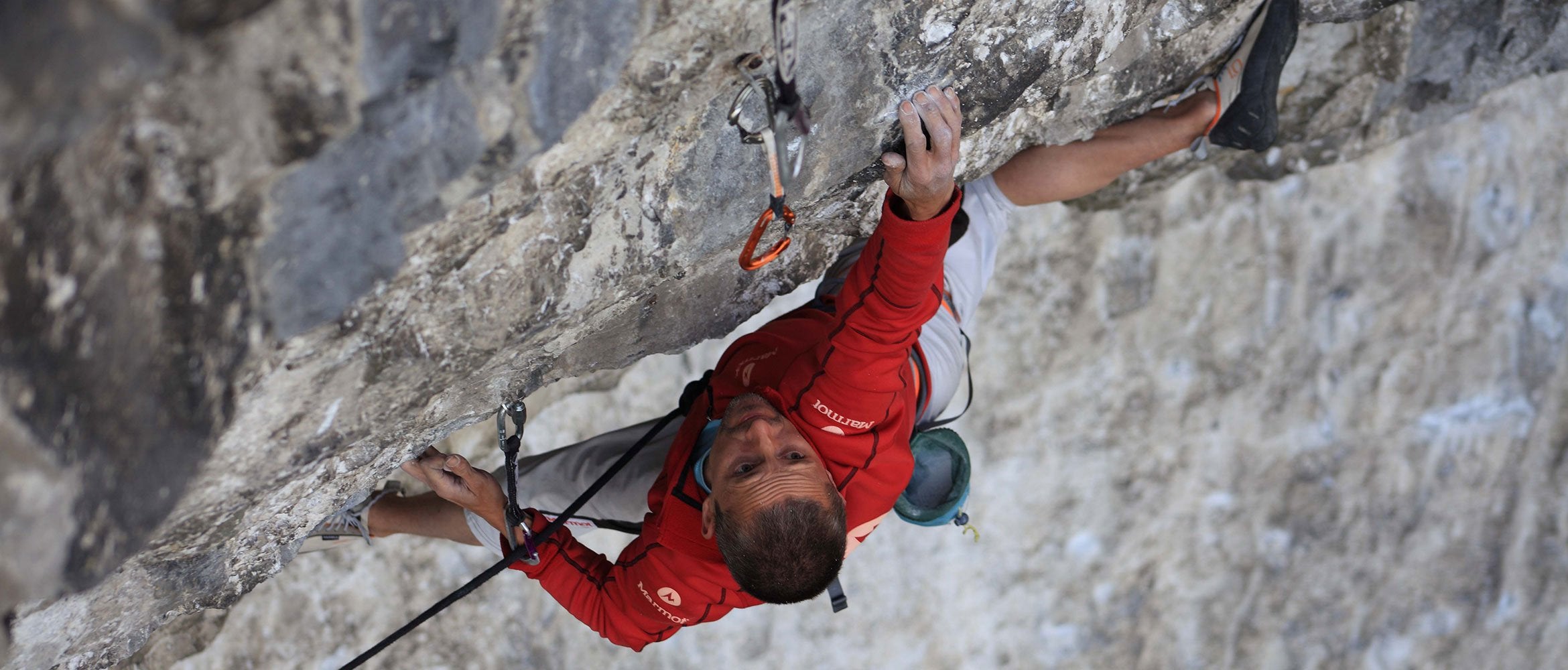 Steve McClure | WildBounds