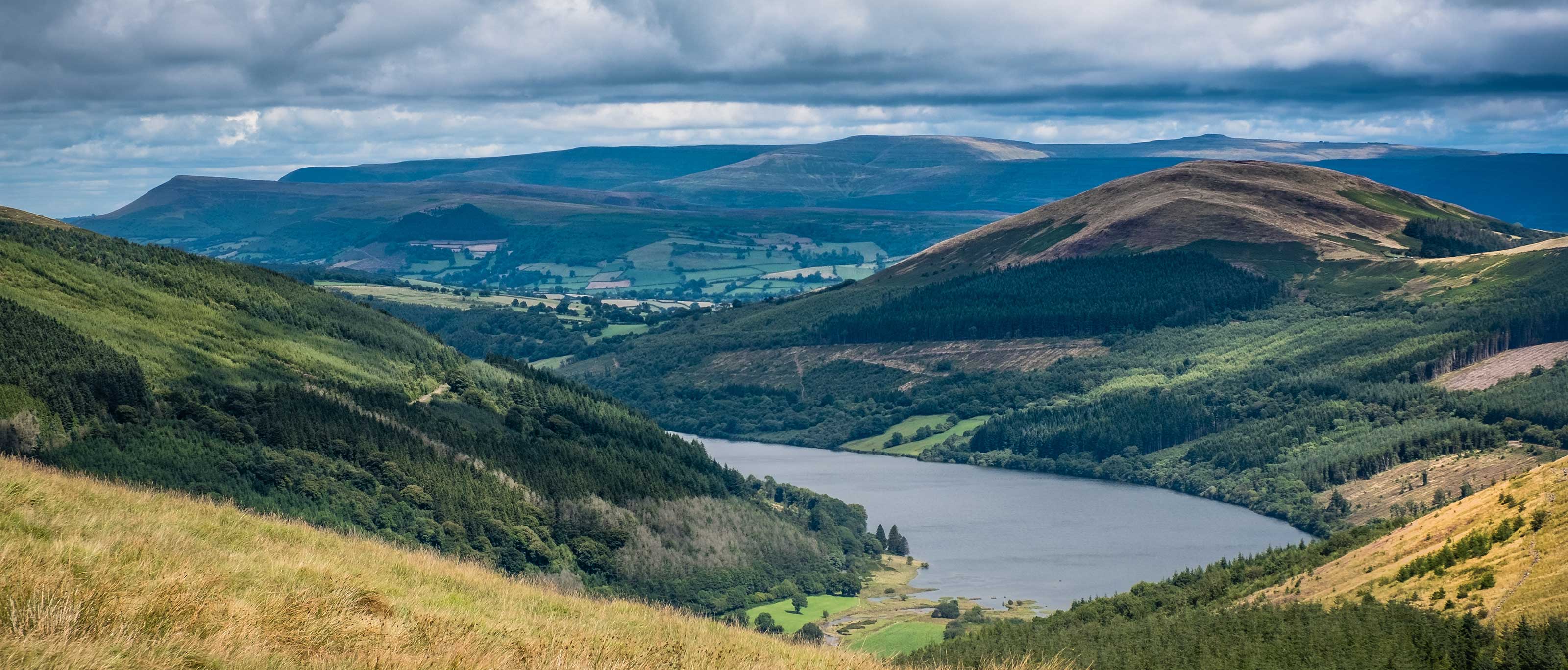 Brecon Beacons Field Guide - WildBounds UK