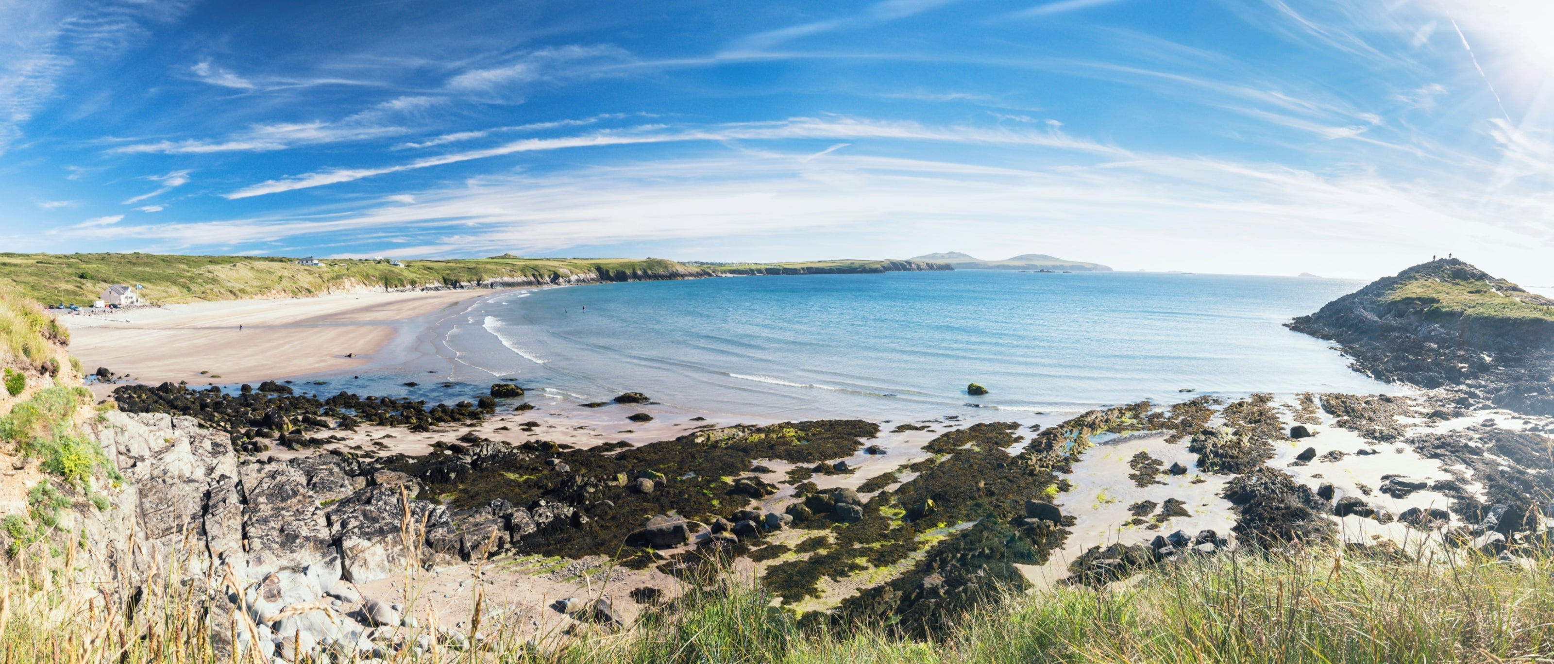 Field Guide: Pembrokeshire | Field Guides | WildBounds UK