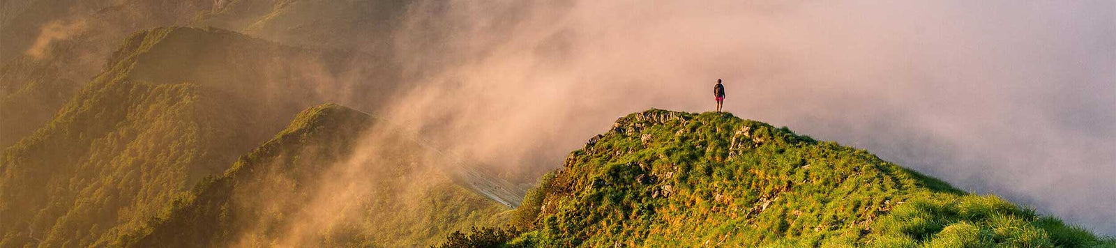 Soutien aux initiatives écologiques
