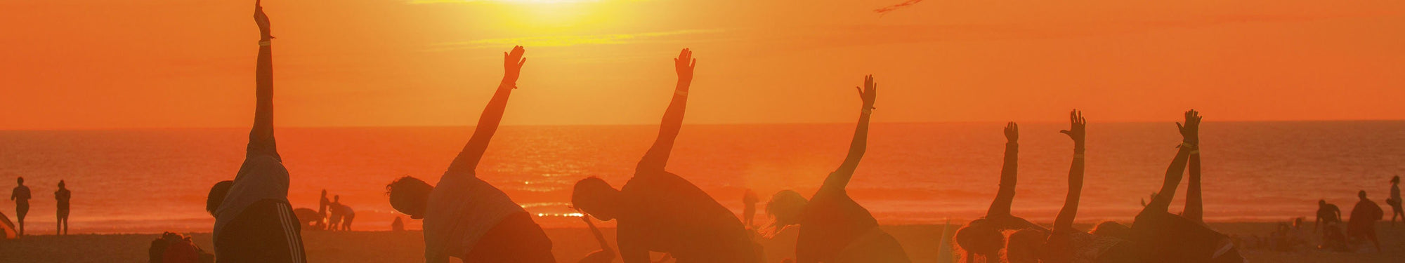 Kit recommandé pour la culture de l'action