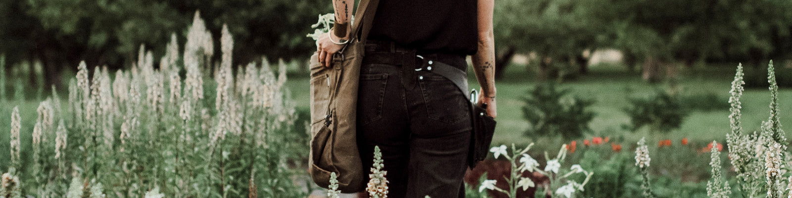 Forage & Cook