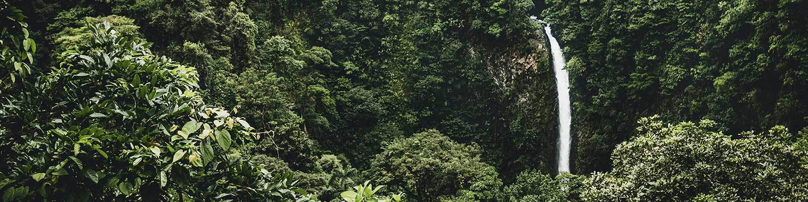 Collection écologique