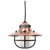 Edison Pendant Light Barebones Living LIV-268 Lanterns One Size / Antique Bronze