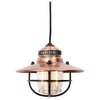 Edison Pendant Light Barebones Living LIV-268 Lanterns One Size / Antique Bronze