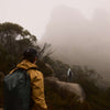 Venture Grab Pack Bellroy BVPA-SAF-246 Backpacks One Size / Safari