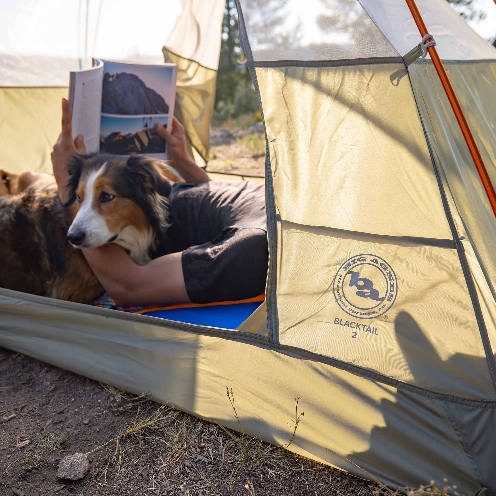 Blacktail 2 Big Agnes TBT2V26 Tents 2P / Vetiver