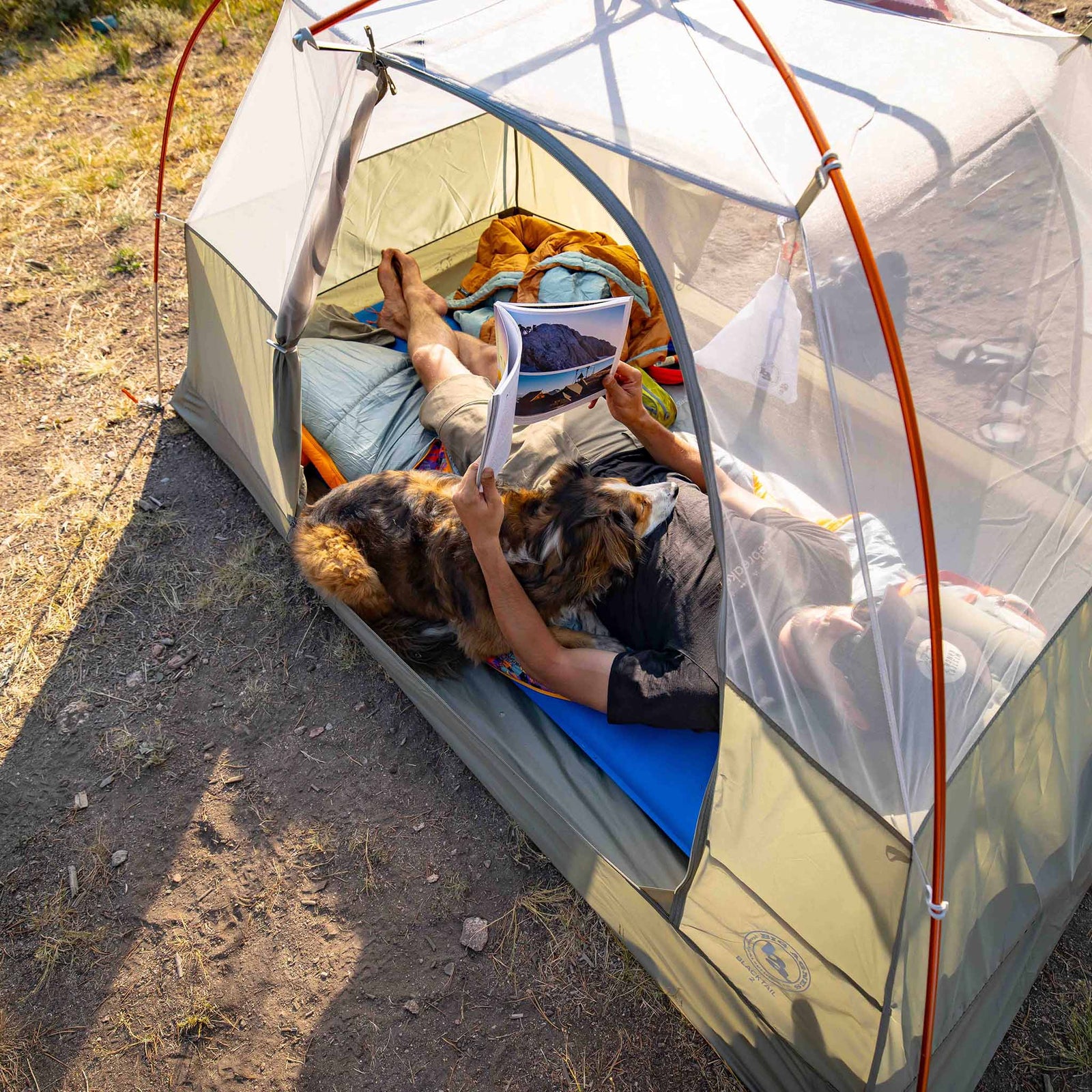 Blacktail 3 Big Agnes TBT3V26 Tents 3P / Vetiver