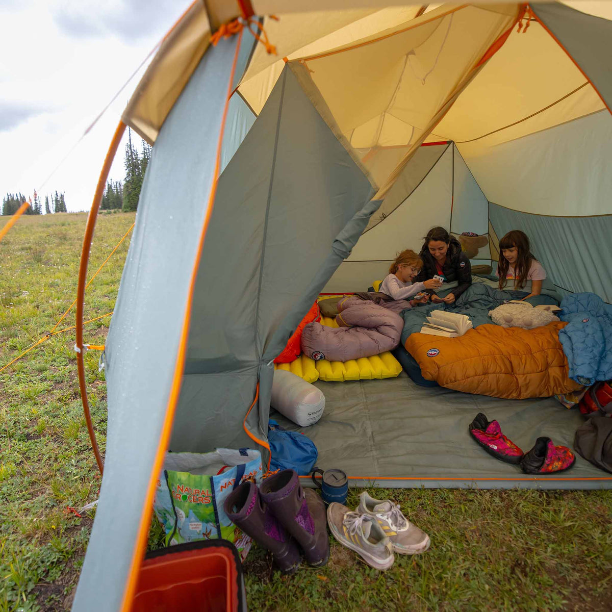 Bunk House 6 Big Agnes TBUNK625 Tents 6P / Prairie Sand/Chinois Green