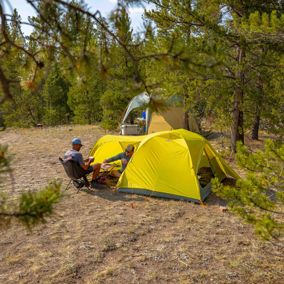 Blacktail Hotel 3
