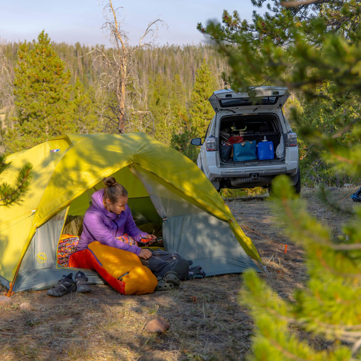 Blacktail Hotel 3
