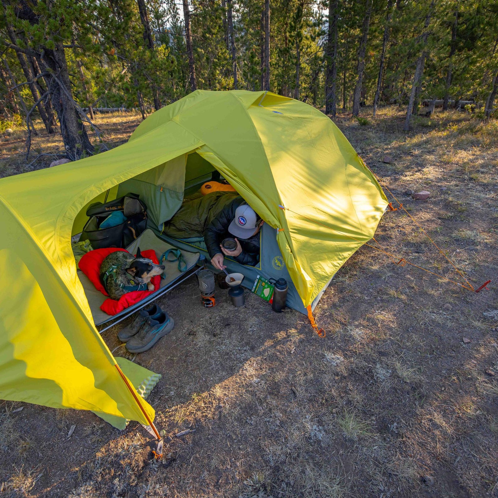 Blacktail Hotel 3