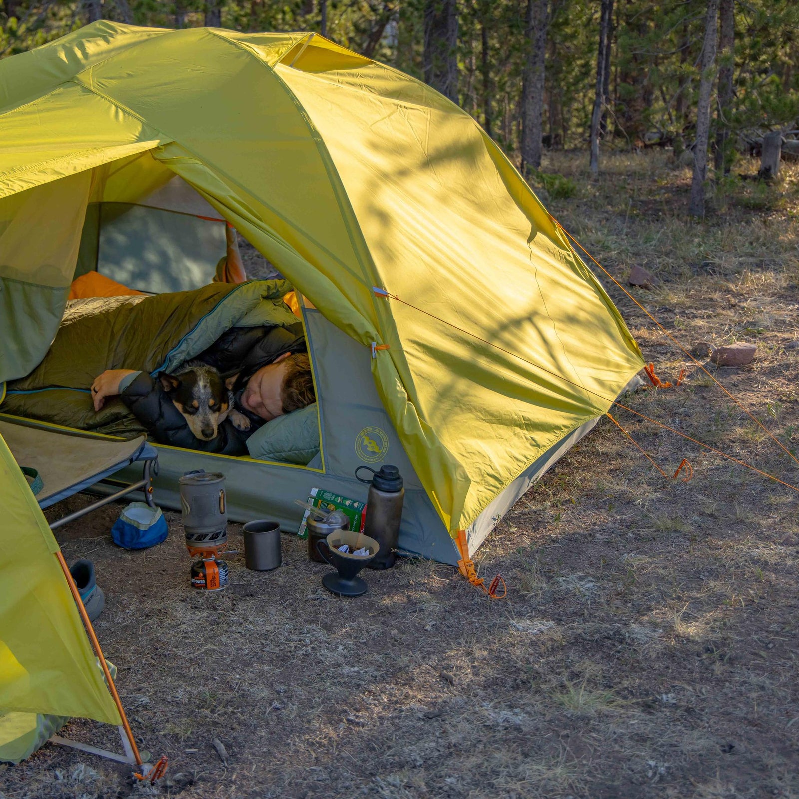 Blacktail Hotel 3