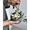 Glass Lunch Pot Black+Blum Food Containers