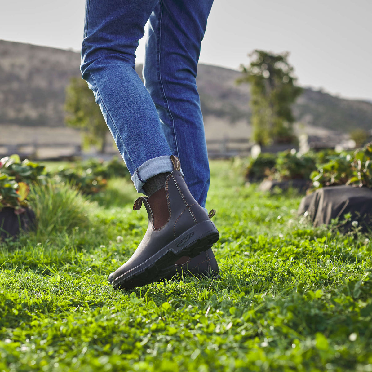Blundstone Originals | 500 Blundstone Unisex Boots
