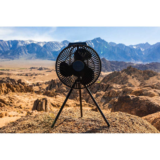 Claymore | V1040 | Desk Fan | Black | WildBounds UK