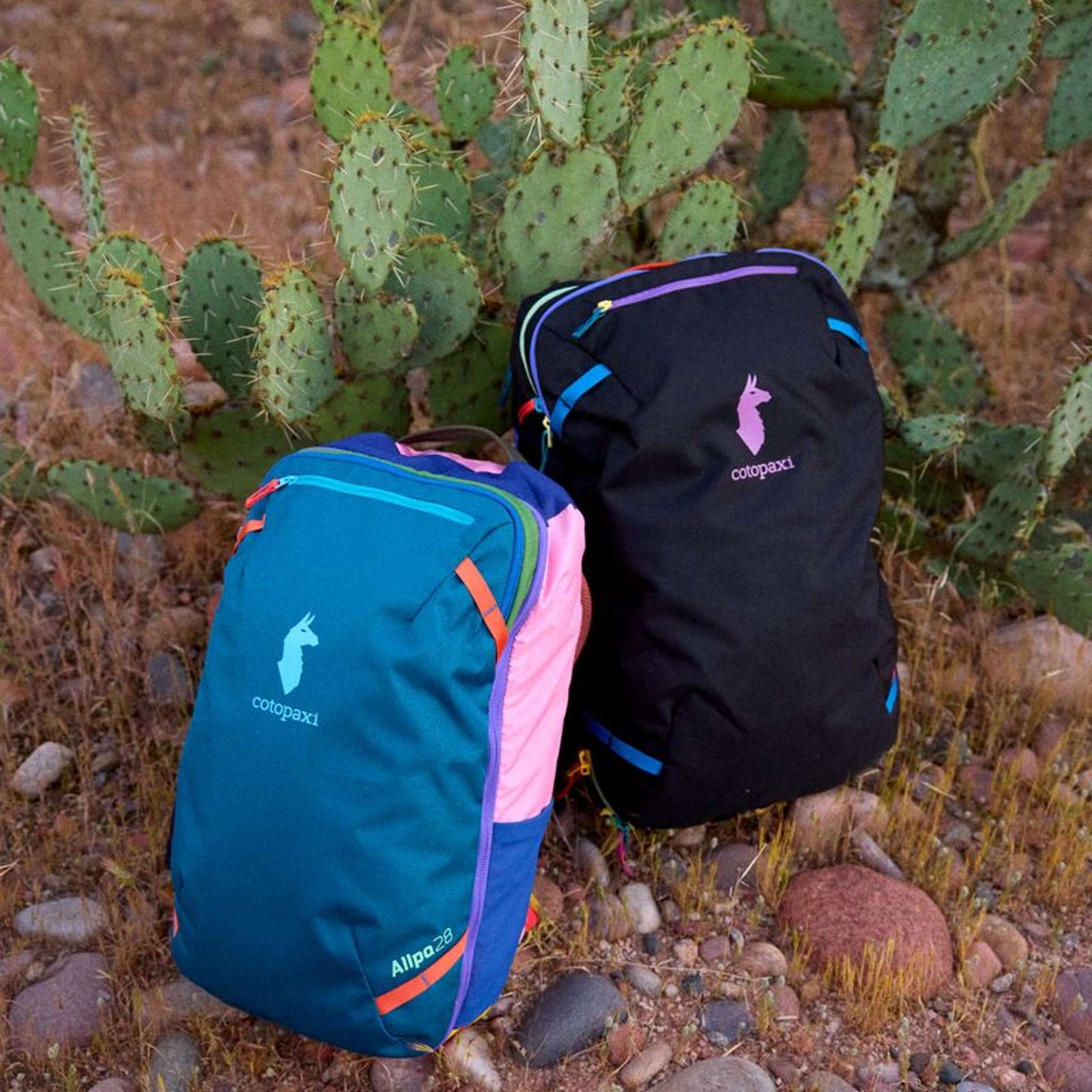 Allpa 28L Travel Pack | Del Día Cotopaxi A28-S25-DD Backpacks 28L / Del Dia PT