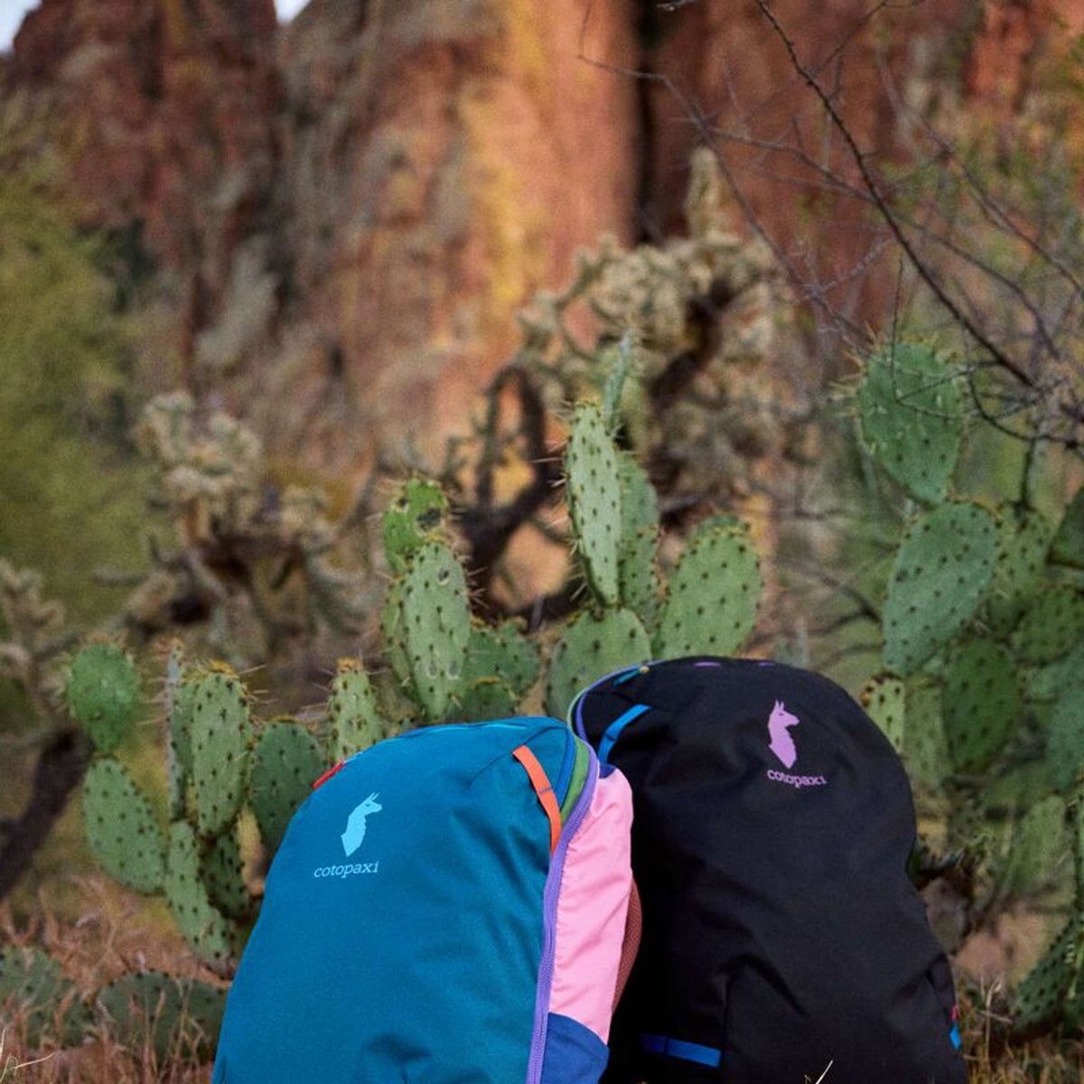 Allpa 42L Travel Pack | Del Día Dark Cotopaxi A42-F25-DDD Backpacks 42L / Del Día Dark