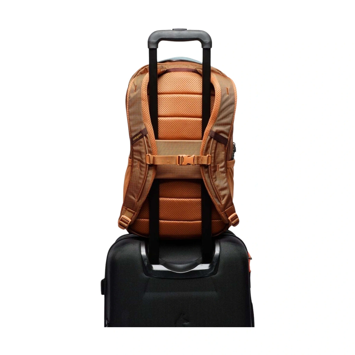 Allpa Daypack | 18L Cotopaxi A18-S26-WSKY Backpacks 18L / Whiskey