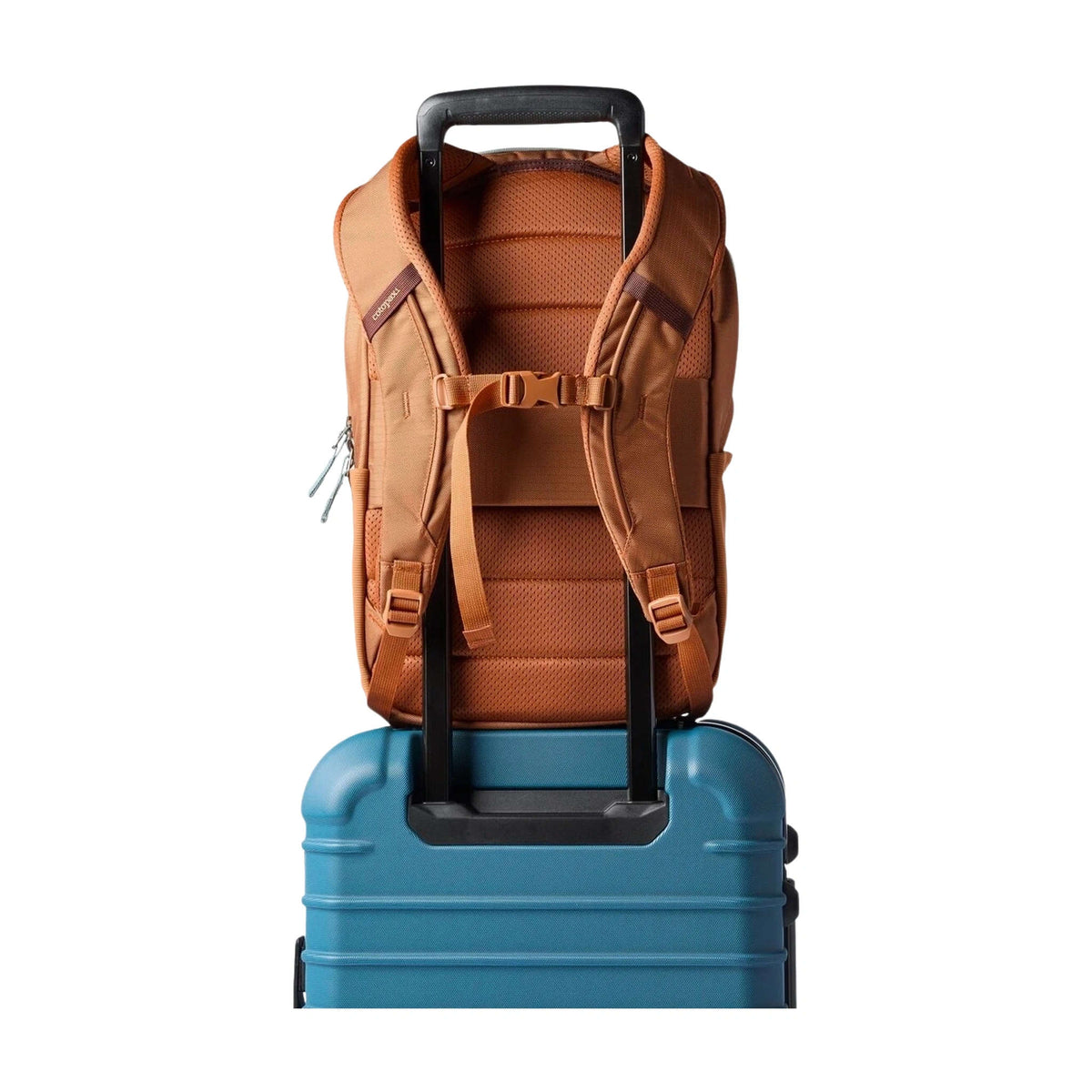 Allpa Daypack | 18L Cotopaxi A18-S26-WSKY Backpacks 18L / Whiskey