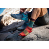 Heady Stripe Micro Crew Lightweight | Cushion | Men's Darn Tough Men's Socks