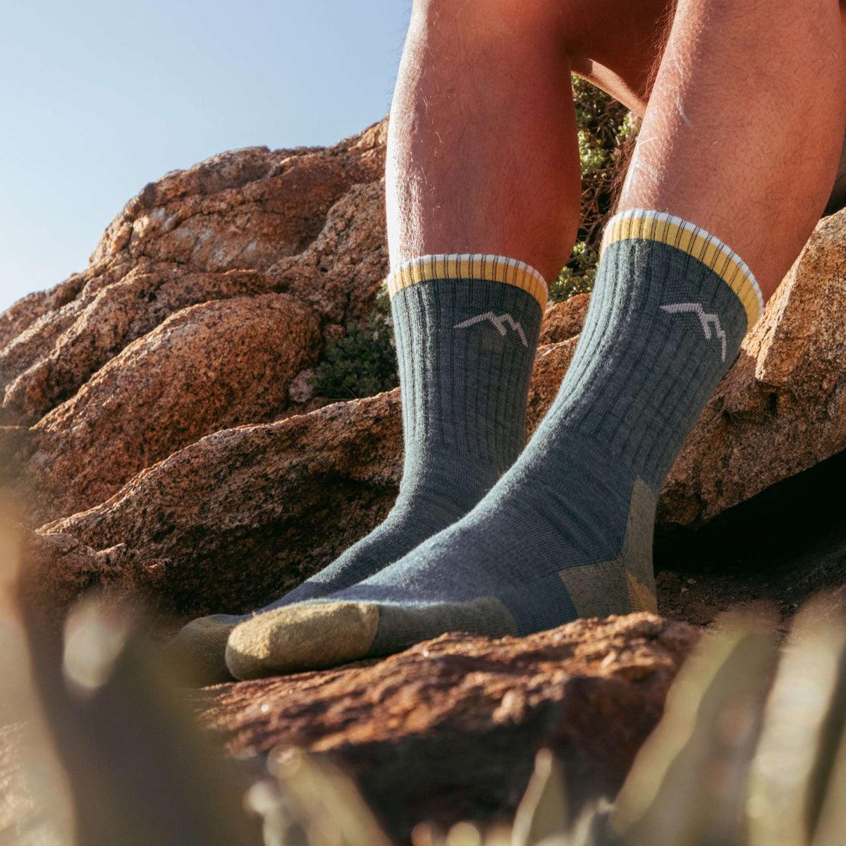 Hiker Micro Crew Midweight | Cushion | Men's Darn Tough Men's Socks