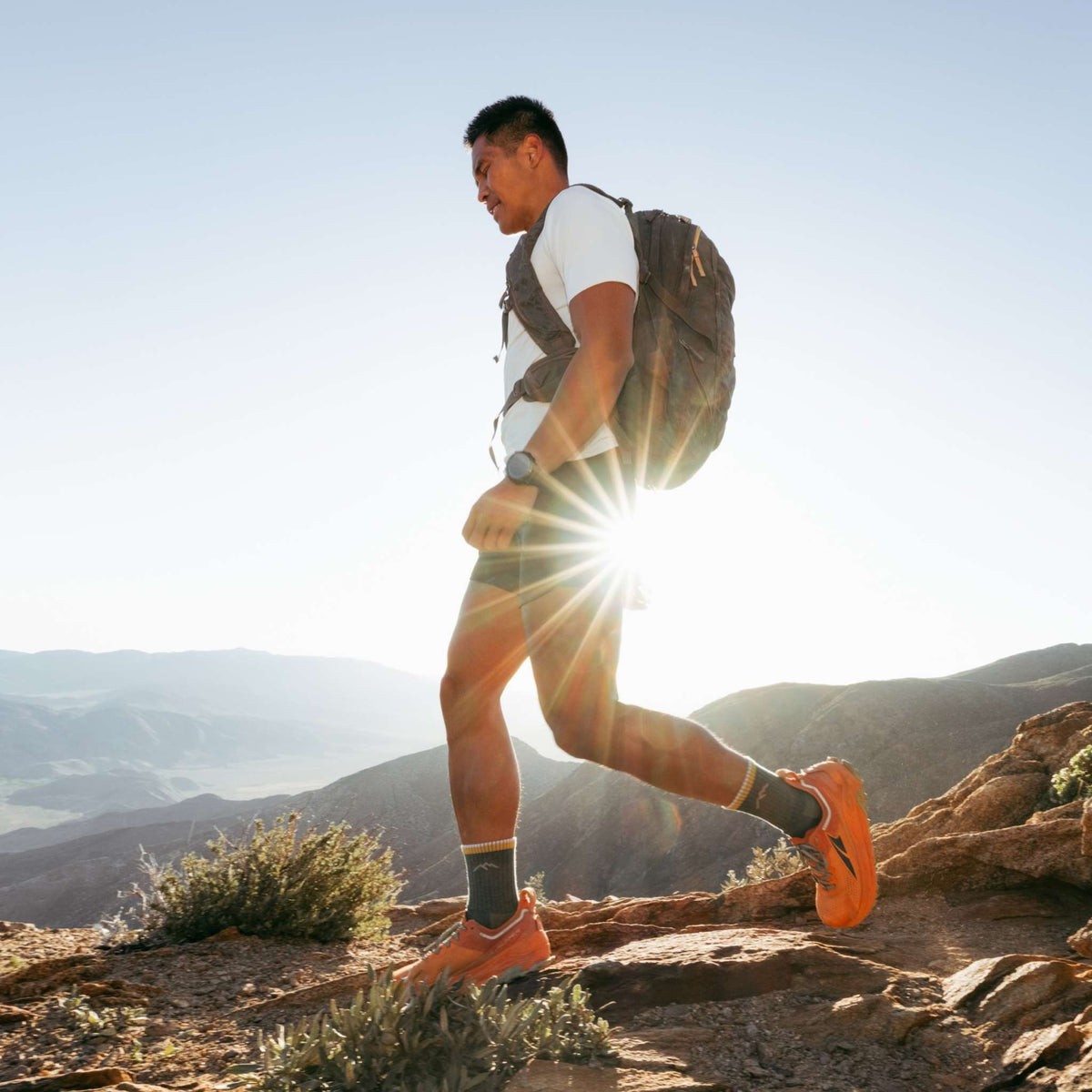 Hiker Micro Crew Midweight | Cushion | Men's Darn Tough Men's Socks