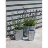 Galvanised Steel Planters | Set of 3 Garden Trading PLGA01 Planters One Size / Silver