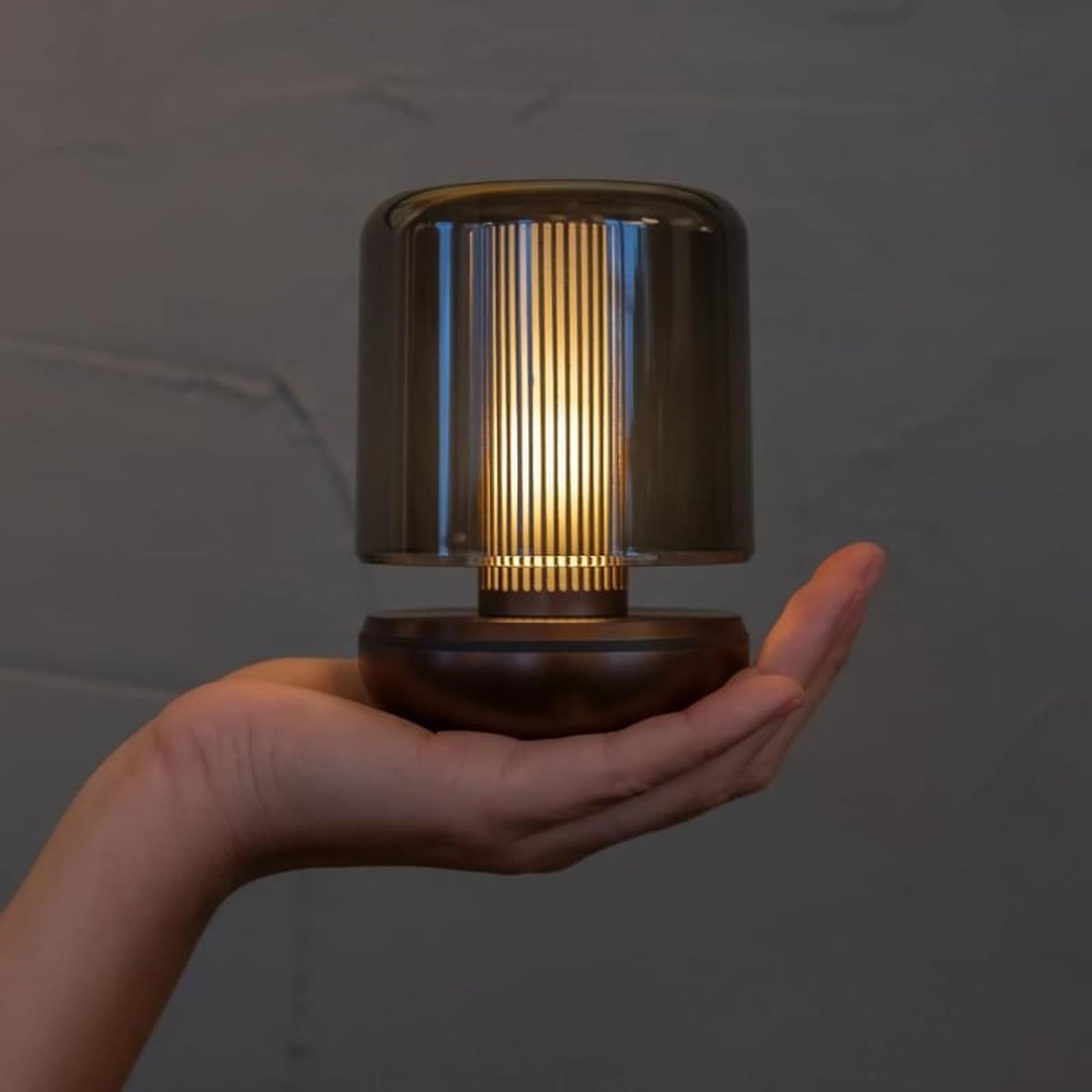 Firefly Light | Smoked Humble Lights HUM-TL00404 Table Lights One Size / Bronze Smoked