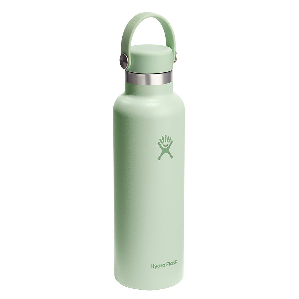 21 oz Standard Mouth Hydro Flask S21CSX338 Water Bottles 21 oz / Aloe