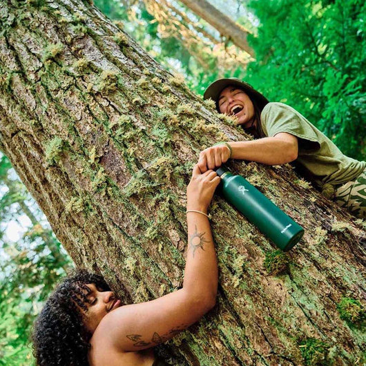 Hydro Flask | 21oz Standard Mouth Insulated Water Bottle | Reef