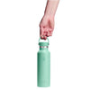 21 oz Standard Mouth Hydro Flask S21CSX344 Water Bottles 21 oz / Mermaid Green