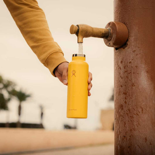 21 ounce hydro flask yellow Hydro Flask | 21oz Standard Mouth Insulated Water Bottle | Sunbeam